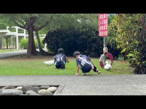 image of 國立歷史博物館-台南